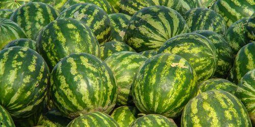 娱乐吃瓜酱江苏,江苏娱乐圈的那些事儿